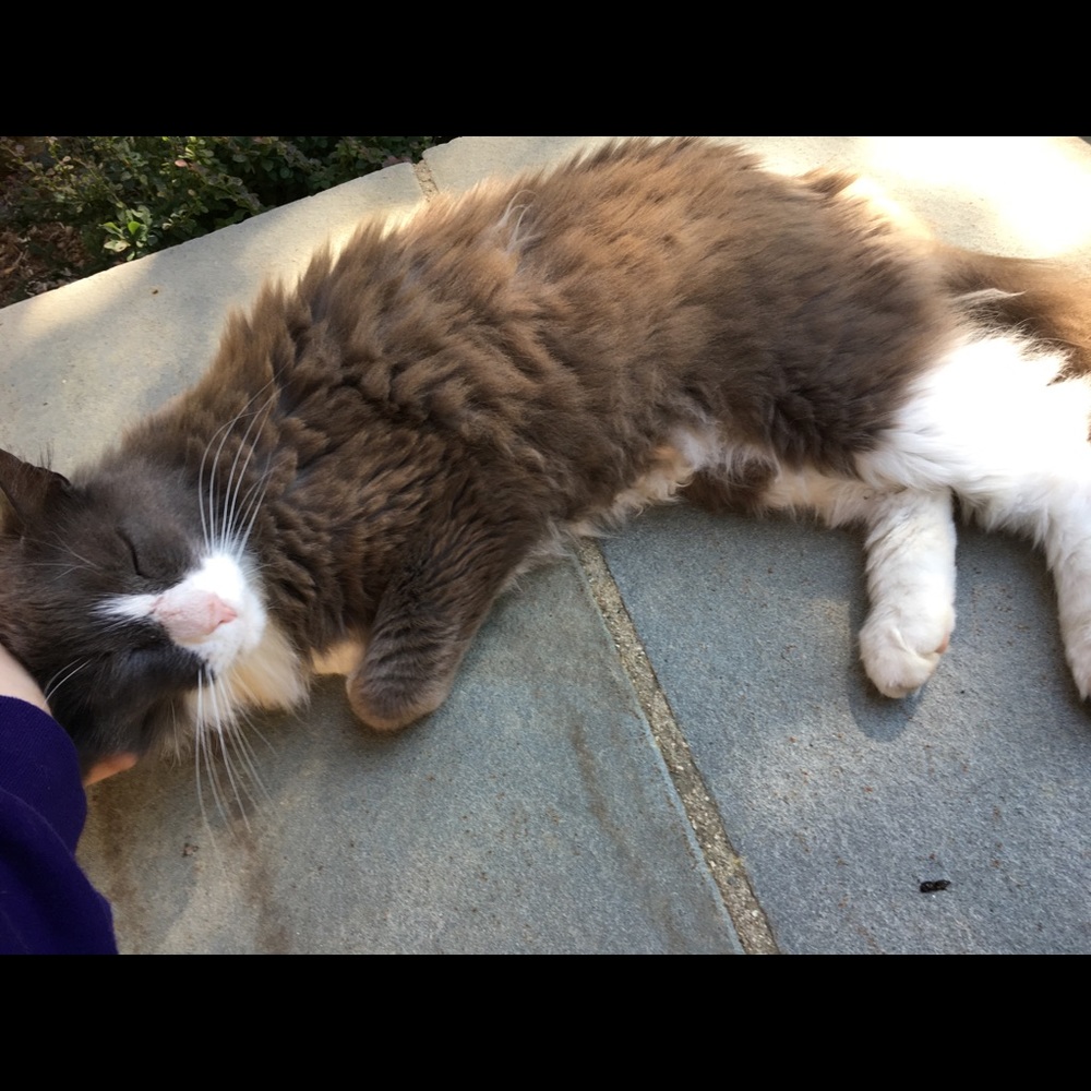 Meet your Posher, Chloe